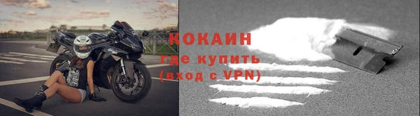 мяу мяу мука Абаза