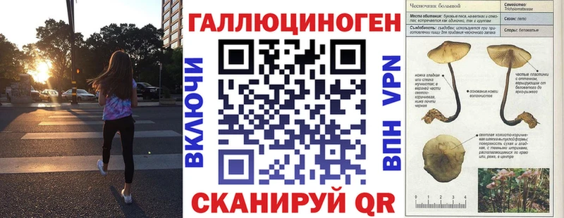 ОМГ ОМГ   Каменногорск  Галлюциногенные грибы Psilocybine cubensis 